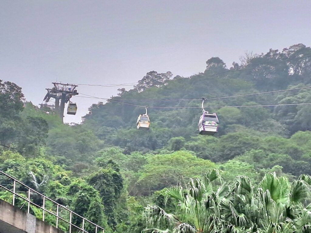 貓纜年度檢修6/16起登場　15天停駛、7/1恢復營運