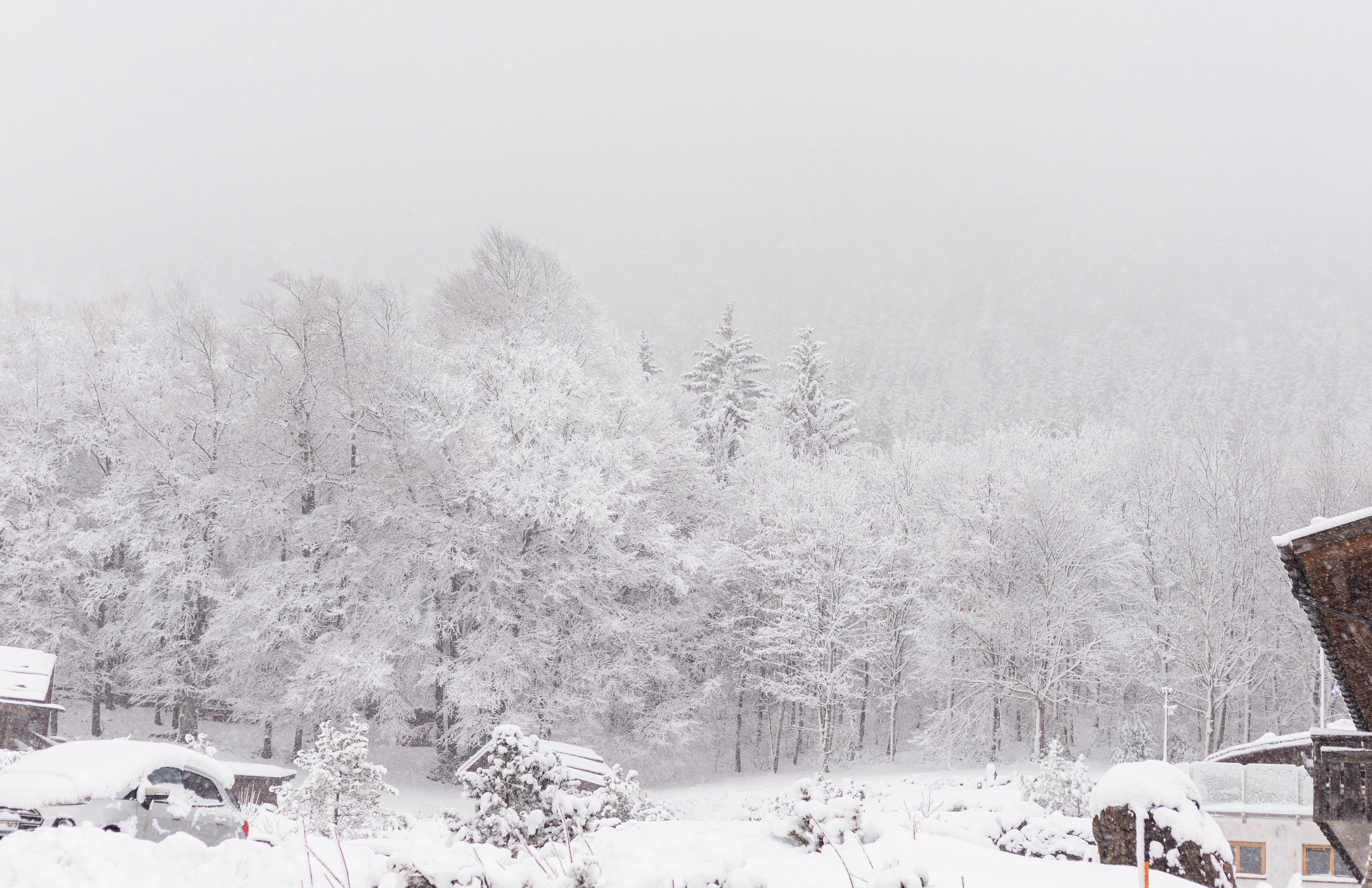 寒流＋低氣壓來襲！北海道陷暴雪危機　新千歲機場逾百航班停飛