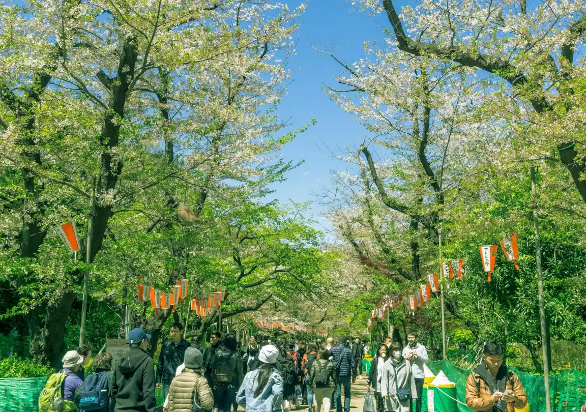 日本4月觀光客達369萬人中國客連5月下滑