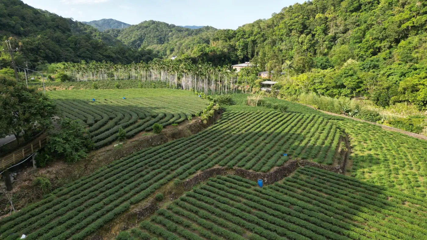 南投名間焚化爐涉農地變更農業部表態堅守特農立場